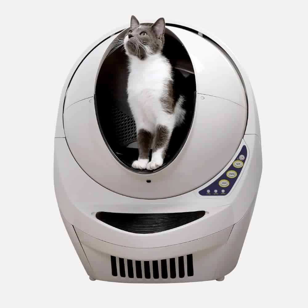 best self cleaning litter box