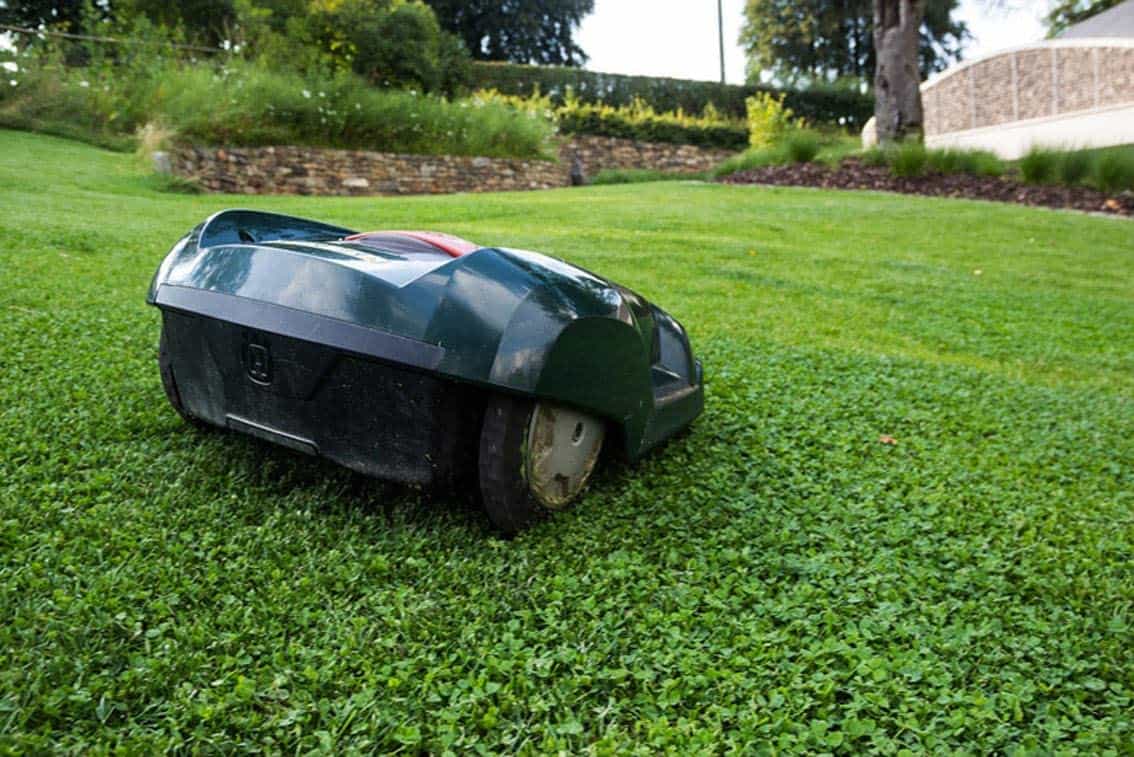 Do Robot Lawn Mowers Mulch Leaves Robot Chores