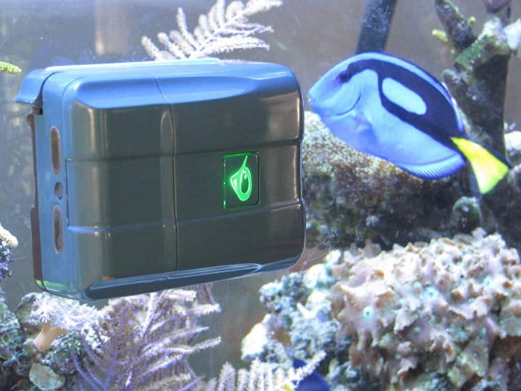 Robosnail aquarium robot