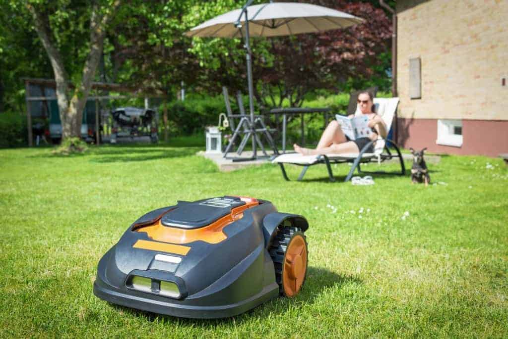best robot mowers for large yards