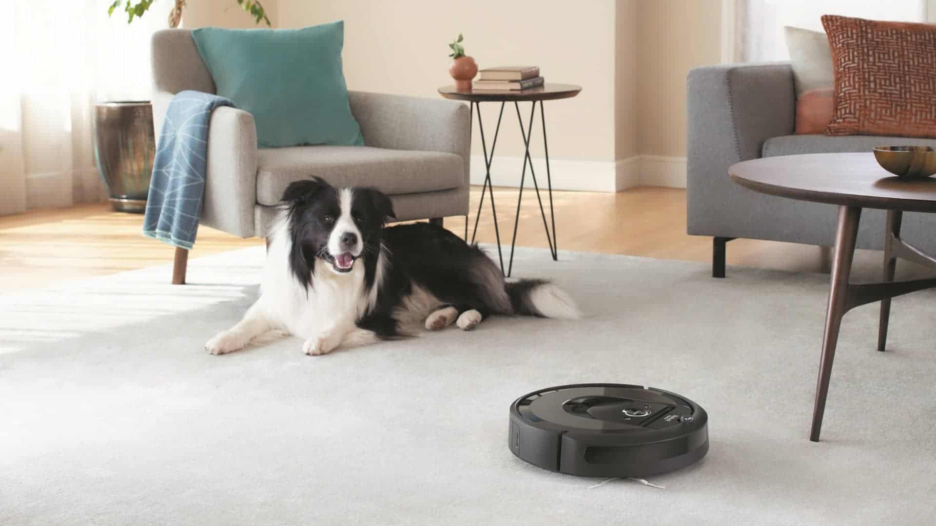 Best Roomba For Your Home Robot Chores