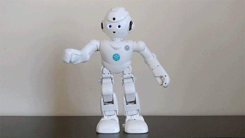 lynx alexa robot