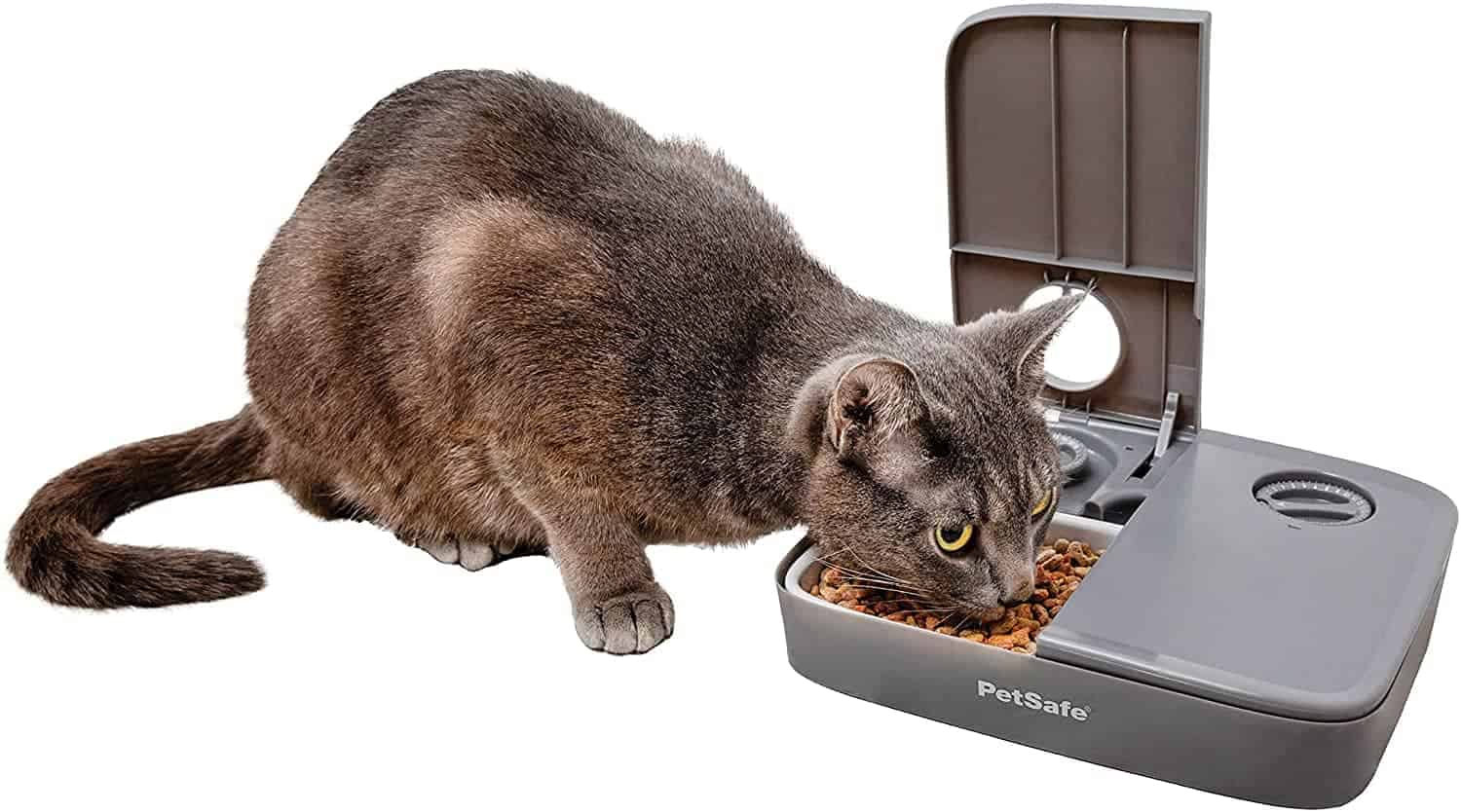 Automatic Pet Feeders for Wet Food The Best Ones to Buy Robot Chores