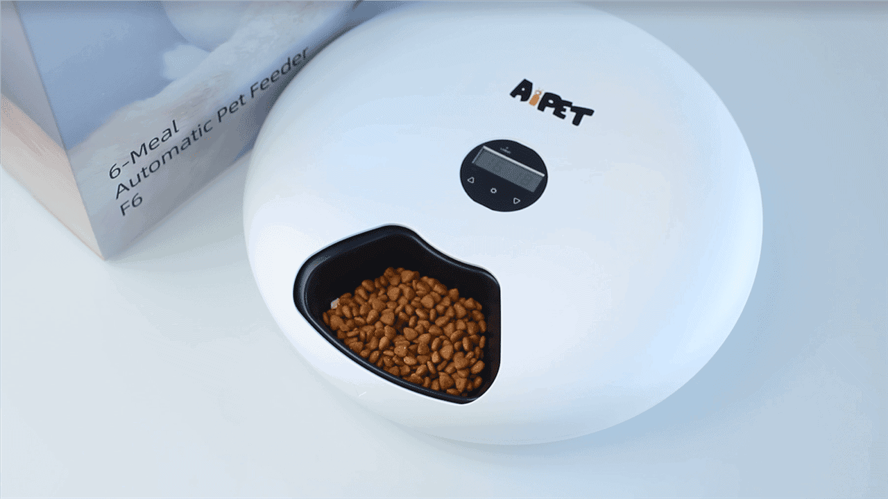 Automatic Pet Feeders for Wet Food The Best Ones to Buy Robot Chores