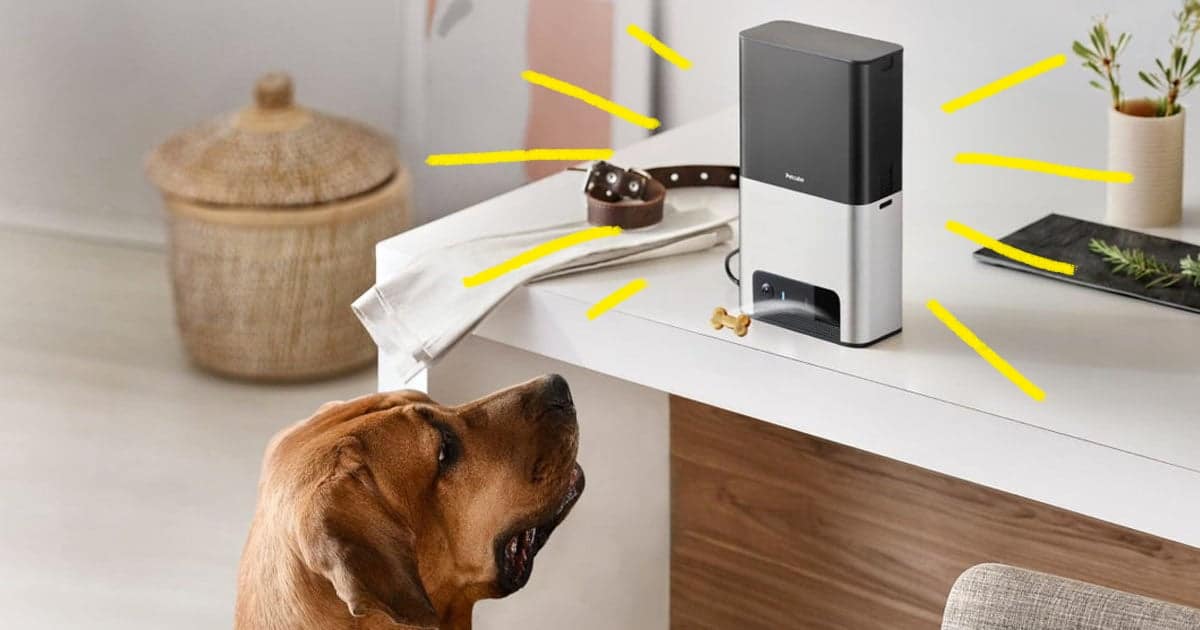 Best Pet Cameras That Dispense Treats Robot Chores