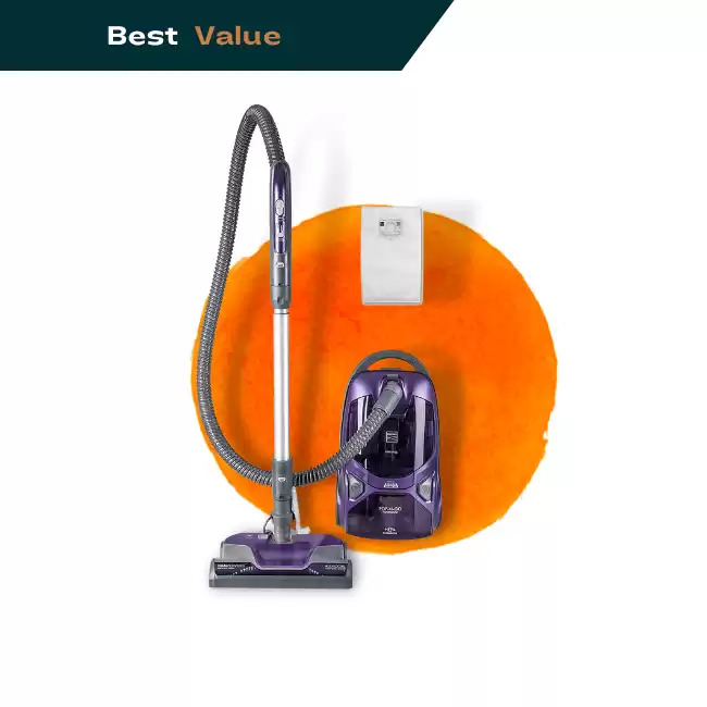 Best Vacuum For Bed Bugs In 2023 Robot Chores