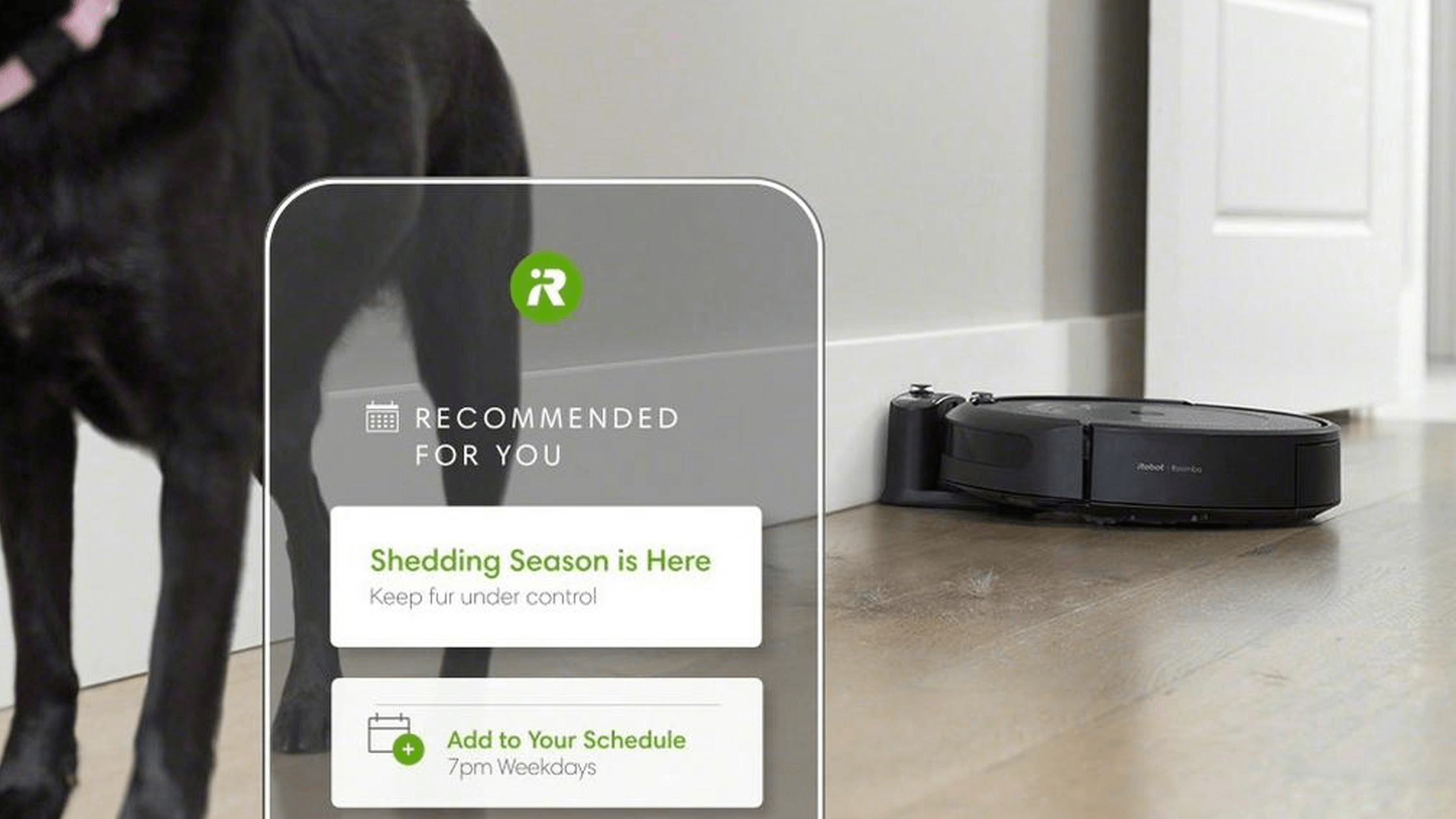 iRobot Roomba i3+ Review Worth the Investment? Our Honest Opinion Robot Chores