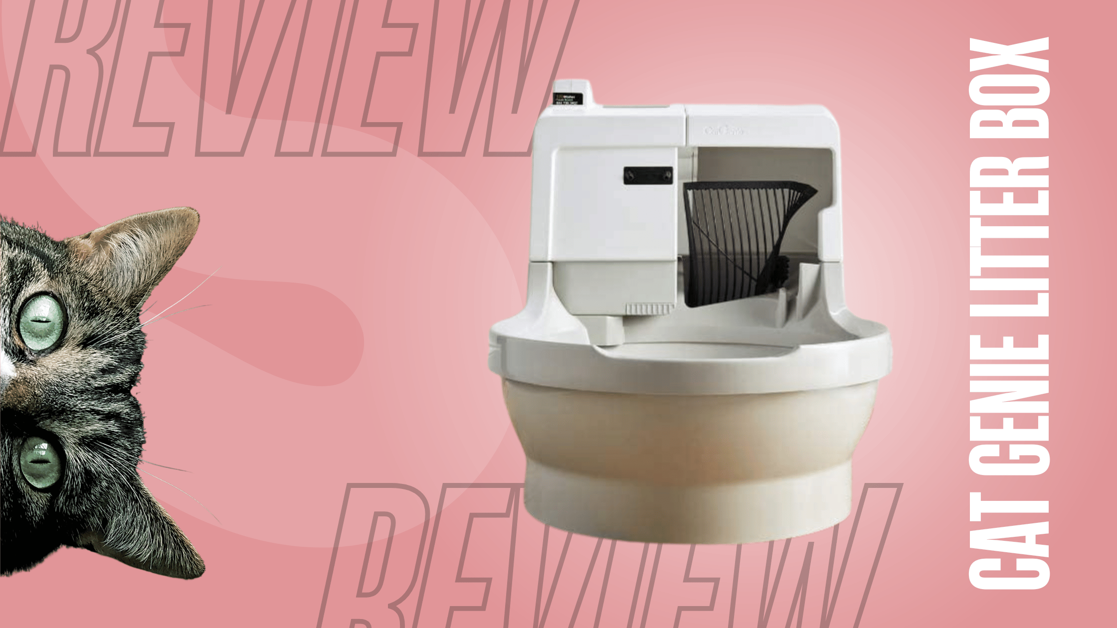 Cat Genie Litter Box Review Is It Worth It? Robot Chores
